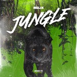 cover: MELIX - Jungle