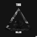 cover: ToRo - Calling