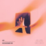 cover: Andy Snow - Goodbye