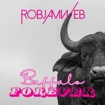 cover: RobJamWeb - Buffalo Forever (Original Mash)