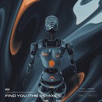 cover: Toxic Wraith - Find You (The Remixes)