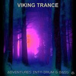 cover: Viking Trance - Adventures Into Drum And Bass