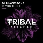 cover: DJ Blackstone - If You Think