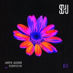 cover: Jarryd Jackson - Perspective