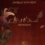 cover: Ninka Nassif|Jungle Kitchen - Hymn Of The Dreamers (Remixed)