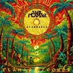 cover: Jarl Flamar - Ayahuasca