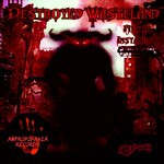 cover: Mental Instability - Destroyed Wasteland