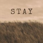 cover: Driblonic - Stay