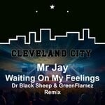 cover: Mr Jay - Waiting On My Feelings