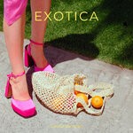 cover: Infraction Music - Exotica