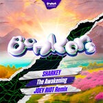 cover: Sharkey - The Awakening (Joey Riot Remix)