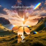 cover: Various - Ketama Essential Vol 1