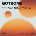 cover: GotSome|Lilly Ahlberg - Never Again (Extended Mix)