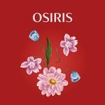 cover: Luigi Tilley - Osiris