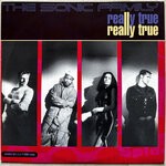 cover: The Sonic Family - Really True