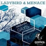 cover: Siddhartha Says - Ladybird & Menace