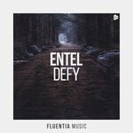 cover: Entel - Defy