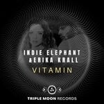 cover: Erika Krall|Indie Elephant - Vitamin (Extended Mix)