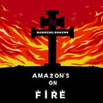 cover: Antonio Augusto Cesar Junior - Amazon's On Fire