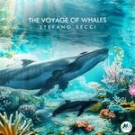 cover: Stefano Secci - The Voyage Of Whales