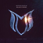 cover: Mariano Mancini - Black Rose