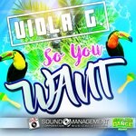 cover: Viola G. - So You Want (Euro Dance Queen)