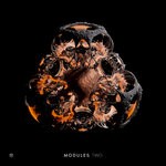 cover: Various - MODULES Two