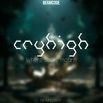 cover: Cryhigh - Where Souls Mourn