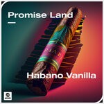 cover: Promise Land - Habano Vanilla (Extended Mix)