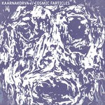 cover: Kaarnakorva - Cosmic Farticles