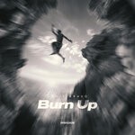 cover: Denis Bravo - Burn Up