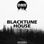 cover: BlackTune - House