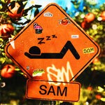 cover: Zzz. - SAM (Explicit)