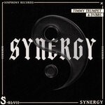 cover: DVBBS|Timmy Trumpet - Synergy (Extended Mix)