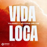 cover: Antoine Delvig|Tujamo - Vida Loca (Extended Mix)