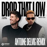 cover: Tujamo|Kid Ink - Drop That Low (When I Dip) [Antoine Delvig Remix] [Extended Mix]