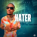 cover: Wilful Skilful - Hater (Explicit)