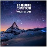 cover: eSquire|Jolyon Petch - What Ya Got (Original Mix)