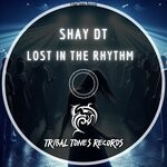 cover: Shay dT - Lost In The Rhythm