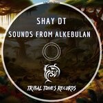 cover: Shay dT - Sounds From Alkebulan