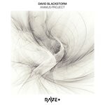 cover: David Blackstorm - Animus Project