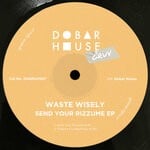 cover: waste wisely - Send Your Rizzume EP