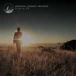 cover: Unusual Cosmic Process - Pilgrim