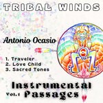 cover: Antonio Ocasio - Instrumental Passages Vol 1