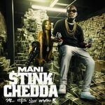 cover: Mani - Stink Chedda