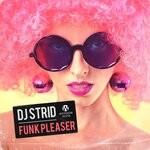 cover: DJ Strid - Funk Pleaser