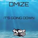 cover: Dmize - It's Going Down