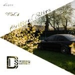 cover: Various - Critical Stirs, Vol 4