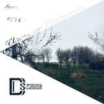 cover: Various - Unusual Calmness Vol 5