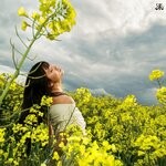 cover: Sarah Kinsley - Starling (Explicit)